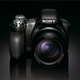 Illustration for article titled Sony DSC-HX1 20x Superzoom Camera Shoots 1080p HD Video, Automagical Panorama Shots